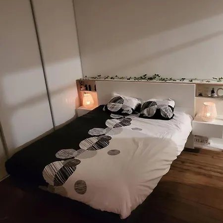 T2 Cosy Autonome H24 Parking Prive Attenant Tv 165cm Netflix Wi-fi Au Rez-de-chaussee *